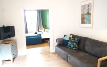 Wohnbereich mit Schlafsofa und TV